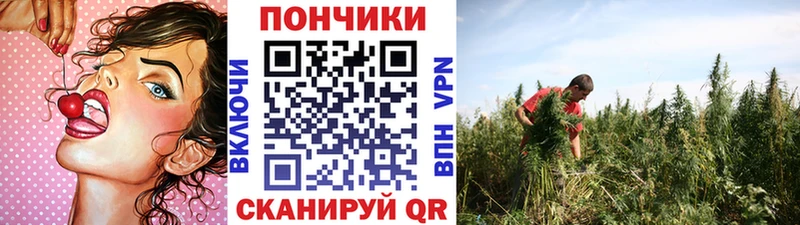 Наркошоп Калач Каннабис Галлюциногенные грибы ГАШ МЕФ A-PVP