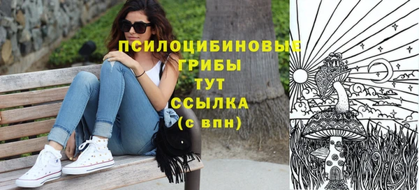 винт Наволоки