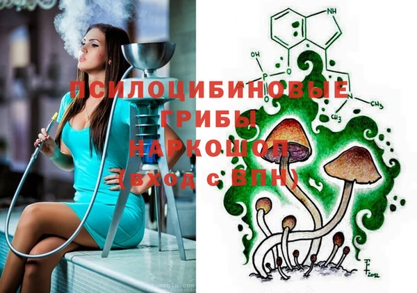 молекула духа Нефтекумск