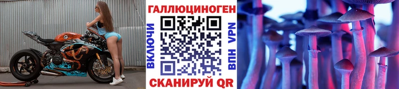 как найти закладки  Калач  Псилоцибиновые грибы GOLDEN TEACHER 