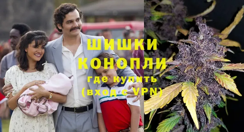 Марихуана THC 21%  Калач 